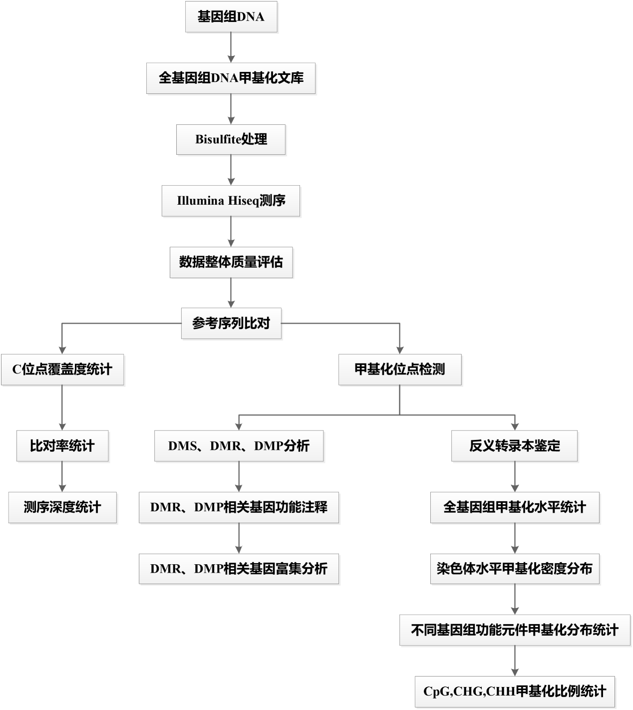 圖片15