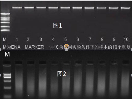 28 28